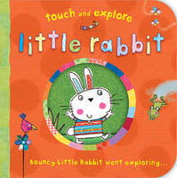 Book Cover for Touch and Explore: Little Rabbit by Katie Saunders