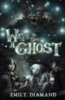 Book Cover for Ways to See a Ghost by Emily Diamond