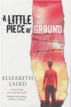 Book Cover for A Little Piece of Ground by Elizabeth Laird