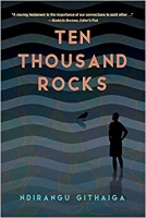 Book Cover for Ten Thousand Rocks by Ndirangu Githaiga