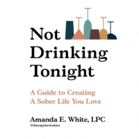 Book Cover for Not Drinking Tonight by Amanda E White