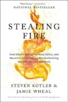 Book Cover for Stealing Fire : How Silicon Valley, the Navy Seals, and Maverick Scientists are Revolutionizing the Way We Live and Work by Steven Kotler 