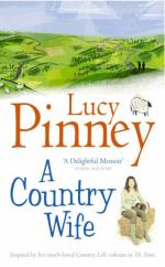 Book Cover for A Country Wife by Lucy Pinney