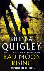 Book Cover for Bad Moon Rising by Sheila Quigley