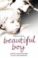 Book Cover for Beautiful Boy by David Sheff