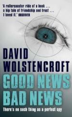 Book Cover for Good News, Bad News by David Wolstencroft