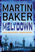 Book Cover for Meltdown by Martin Baker