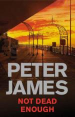 Book Cover for Not Dead Enough by Peter James