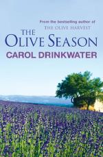 Book Cover for The Olive Season by Carol Drinkwater