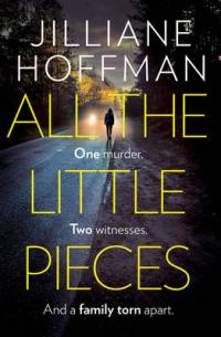 Book Cover for All the Little Pieces by Jilliane Hoffman