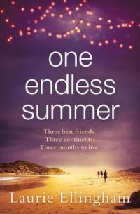 Book Cover for One Endless Summer by Laurie Ellingham