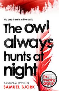 Book Cover for The Owl Always Hunts at Night by Samuel Bjork