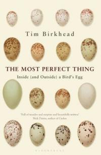 Book Cover for The Most Perfect Thing Inside (and Outside) a Bird's Egg by Tim Birkhead