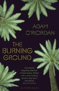 Book Cover for The Burning Ground by Adam O'Riordan