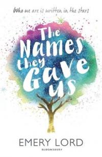 Book Cover for The Names They Gave Us by Emery Lord