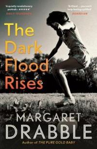 Book Cover for The Dark Flood Rises by Margaret Drabble