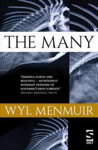 Book Cover for The Many by Wyl Menmuir