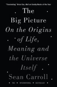 Book Cover for The Big Picture On the Origins of Life, Meaning, and the Universe Itself by Sean Carroll