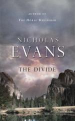 Book Cover for The Divide by Nicholas Evans