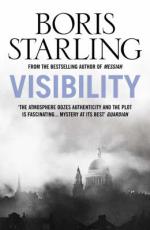 Book Cover for Visibility by Boris Starling