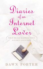 Book Cover for Diaries of an Internet Lover by Dawn Porter