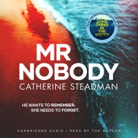 Book Cover for Mr Nobody by Catherine Steadman