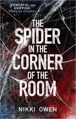 The Spider in the Corner of the Room