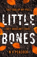 Book Cover for Little Bones by N V Peackock