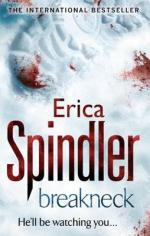 Book Cover for Breakneck by Erica Spindler
