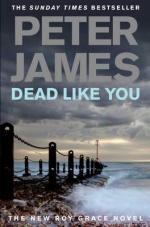 Book Cover for Dead Like You by Peter James