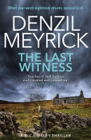 Book Cover for The Last Witness by Denzil Meyrick