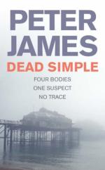 Book Cover for Dead Simple by Peter James