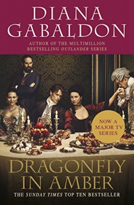 Dragonfly in Amber