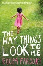 Book Cover for The Way Things Look To Me by Roopa Farooki