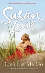 Book Cover for Don't Let Me Go by Susan Lewis