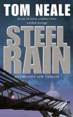 Book Cover for Steel Rain by 