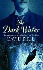 Book Cover for The Dark Water by David Pirie