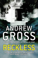 Book Cover for Reckless by Andrew Gross