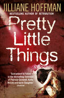 Book Cover for Pretty Little Things by Jilliane Hoffman