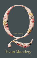 Book Cover for Q : A Love Story by Evan J. Mandery