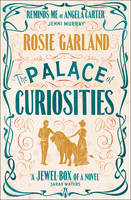 Book Cover for The Palace of Curiosities by Rosie Garland