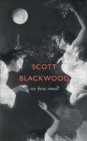 Book Cover for See How Small by Scott Blackwood