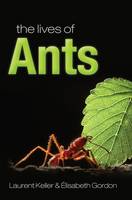 Book Cover for The Lives of Ants by 