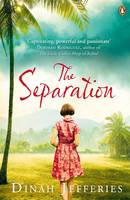 Book Cover for The Separation by Dinah Jefferies