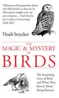 Book Cover for The Magic and Mystery of Birds The Surprising Lives of Birds and What They Reveal About Being Human by Noah Strycker