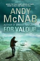 Book Cover for For Valour by Andy McNab