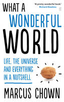 What a Wonderful World Life, the Universe and Everything in a Nutshell