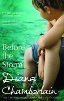 Book Cover for Before the Storm by Diane Chamberlain