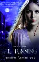 Book Cover for The Turning by 