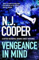 Book Cover for Vengeance in Mind by N. J. Cooper